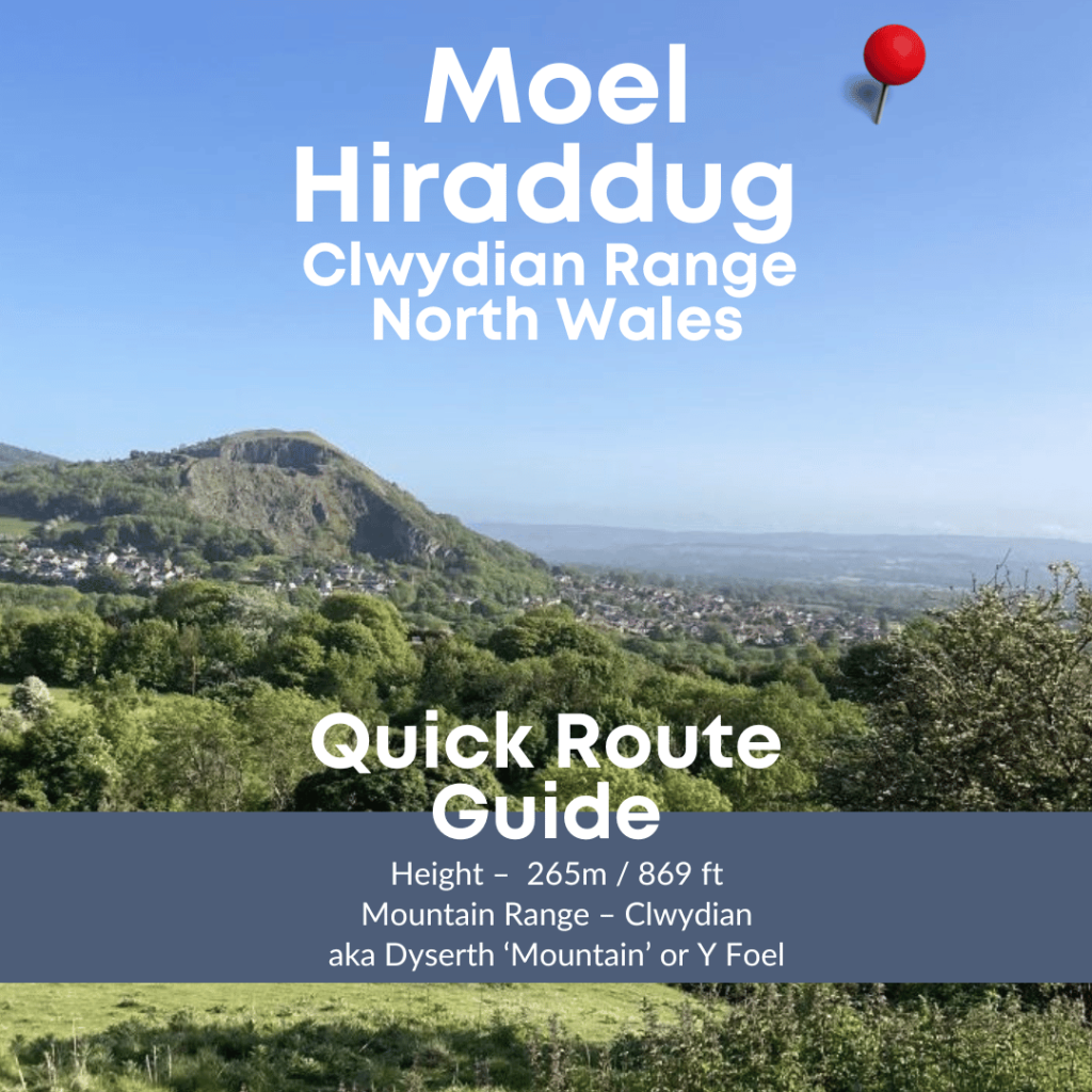 Moel Hiraddug Walk – Quick Route, perfect for family and dog walks